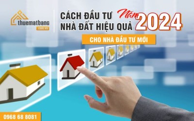 Cách đầu tư nhà đất hiệu quả năm 2024 dành cho nhà đầu tư mới