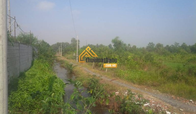 product/2025_04/ban-kho-xuong-binh-my-cu-chi-1.jpg