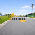 product/2026_06/cum-cong-nghiep-hai-son-duc-hoa-dong-3.png