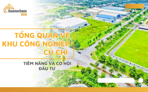 Tổng quan về các khu công nghiệp Củ Chi: Tiềm năng và cơ hội đầu tư