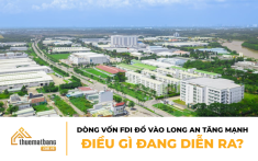 Dòng vốn FDI đổ vào Long An tăng mạnh: Điều gì đang diễn ra?