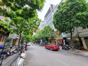 product/matbang/ha_noi/1_quan_ba_dinh/phat-images-30-01-2024/cho-thue-mbkd-dao-tan-ba-dinh-85m-lam-spa-ca-fe-cua-hang-nhat-uu-tien-mo-hinh-sach-se-gia-15tr-1.webp