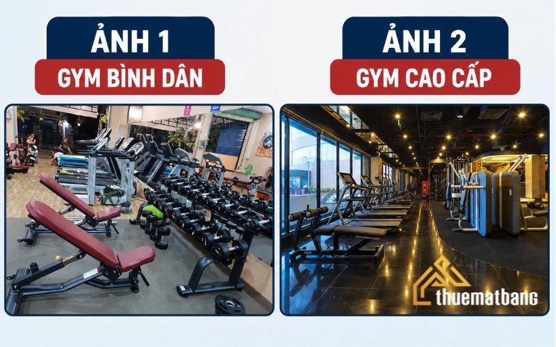 Phòng gym bình dân và phòng gym cao cấp
