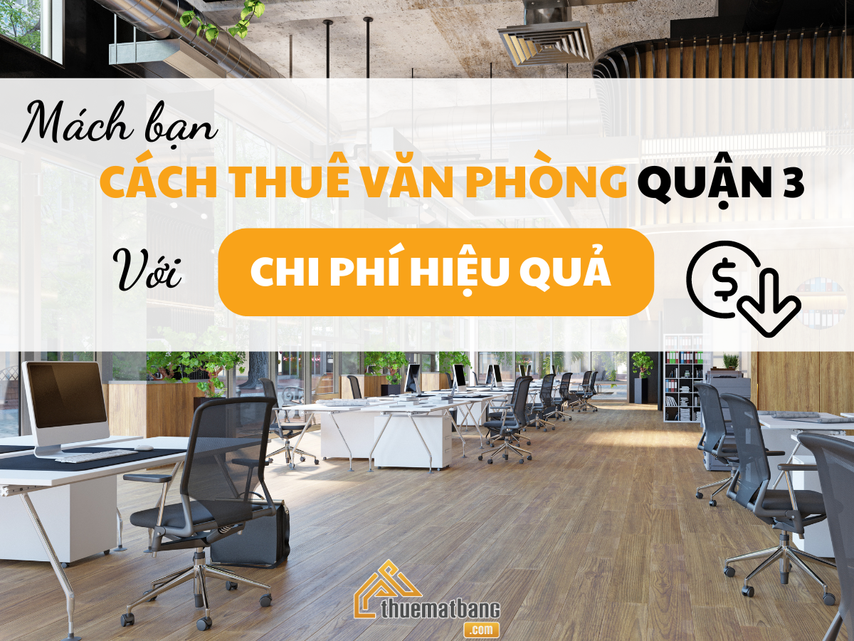 Cách thuê văn phòng quận 3 với chi phí hiệu quả