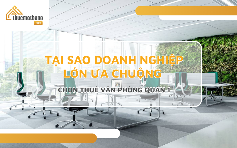 Tại sao doanh nghiệp lớn ưa chuộng chọn thuê văn phòng quận 1